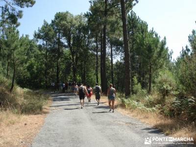 Pinares de Piedralaves;mochila trekking mochila senderismo ruta senderismo madrid